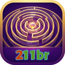 211br