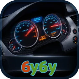 6y6y
